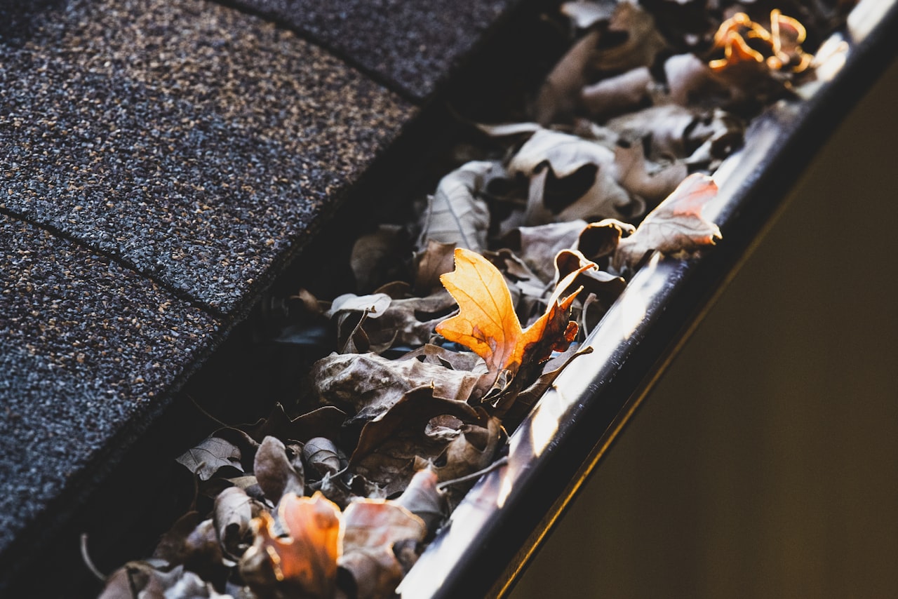 Gutter Cleaning on Long Island by Shineback Window Washing